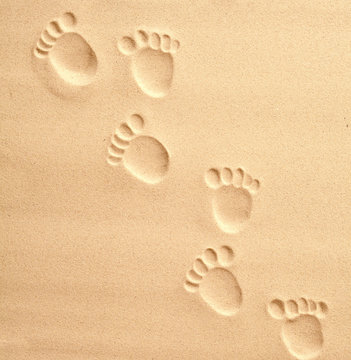 Overhead view of path made by child footprints