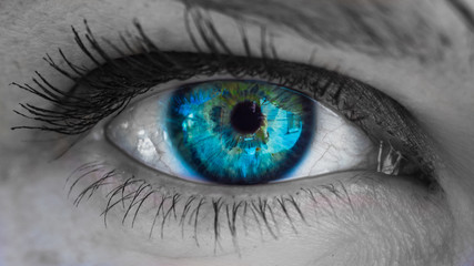 beautiful female eye