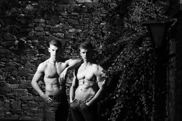 Young sensual twin brothers