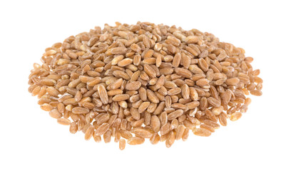 Portion of farro organic wheat on a white background
