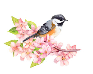 Fototapeta premium Bird on blossom branch with flowers. Watercolor