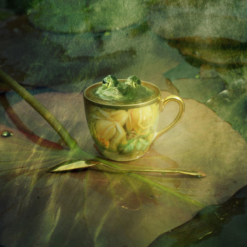 Teacup on lily pad, frog peering out of cup