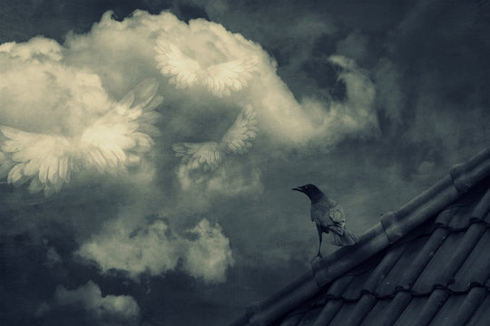Bird perched on rooftop, wings depicted in clouds