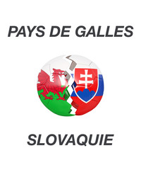 Wales / Slovakia soccer game 3d illustration