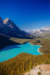 Fototapeta na wymiar Peyto Lake, Banff National Park, Rocky Mountains, Alberta, Canada