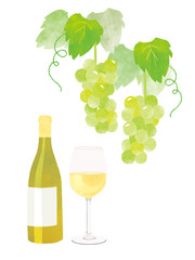  white wine, white grape