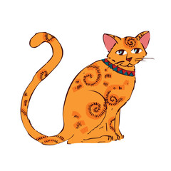 Image of orange cat isolated on white background.