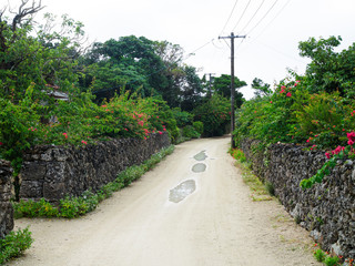 竹富島の街並み