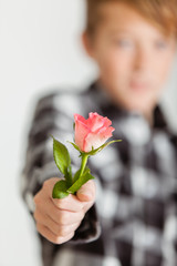 Teenage Boy Giving Single Delicate Pink Rose