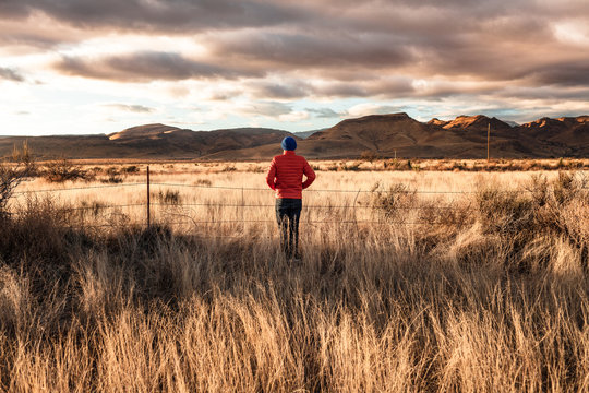 Rear view of person looking at view of mountains