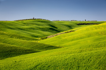 Fototapeta na wymiar Green countryside during spring season, Tuscany, Italy