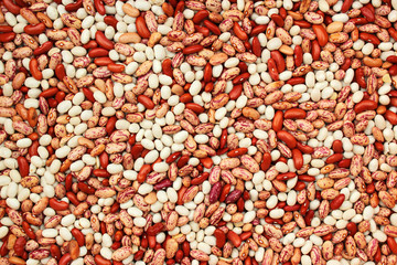 Red white and kidney beans