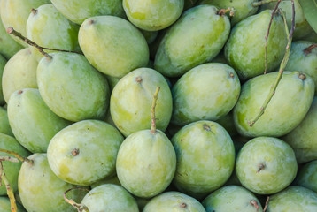 Raw mangoes sold on market stalls Chong Chom border.Raw mangoes.Green mangoes.Many Mango