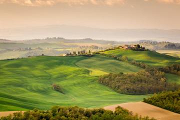 Green farmland in spring season, Tuscany, Italy