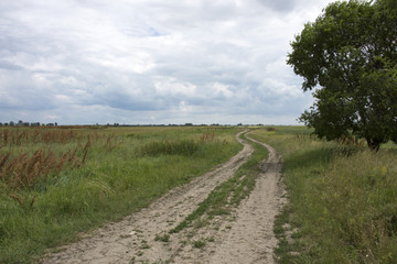 Fototapeta na wymiar View on the endless plain of the Hungarian puszta in Hortobagy National park