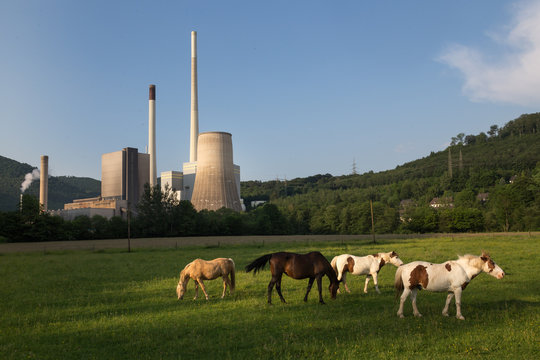 power plant with horses