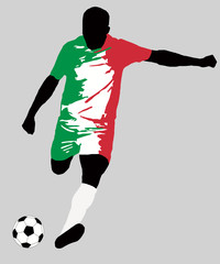 UEFA Euro 2016 vector illustration of football player run hit ball. Group E participant. Soccer team player in uniform with Italy state national flag original colors. Flat graphic design clip art