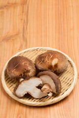 肉厚なシイタケ