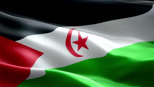 Sahrawi Arab Democratic Republic national flag. Infinite loop. New effect and different lightining.