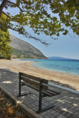 Trees on the beach of Poros, Kefalonia, Ionian Islands, Greece