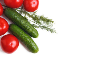 tomato dill and cucumber on a white background
