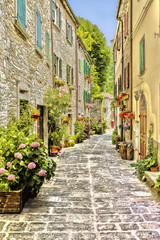 Fototapeta na wymiar Beautiful small street provincial Italy