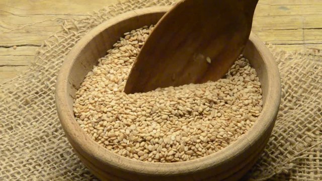 Քունջութ तिल ゴマ ಎಳ್ಳು എള്ള് Kunc&icirc; तीळ Кунжут индийский Wij&egrave;n Indinis 芝麻 sezamas Sesamo S&eacute;samo Sezam indyjski Susam Sesam שומשום Ajonjol&iacute; کنجد