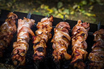 Shashlik-Meat baked on a skewer over hot coals.