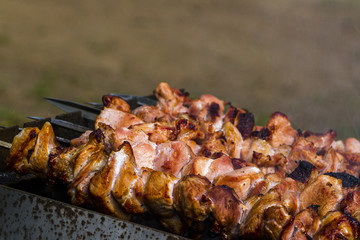 Shashlik-Meat baked on a skewer over hot coals.