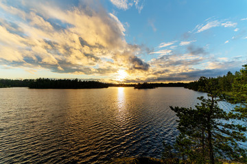 summer sunset over the forest lake