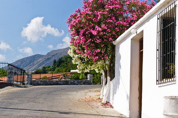 Typical mediterranean colors at the winding road to Cretan white mountains, Crete, Greece