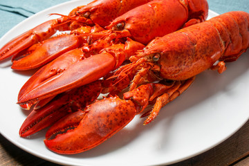 Cooked red Lobsters