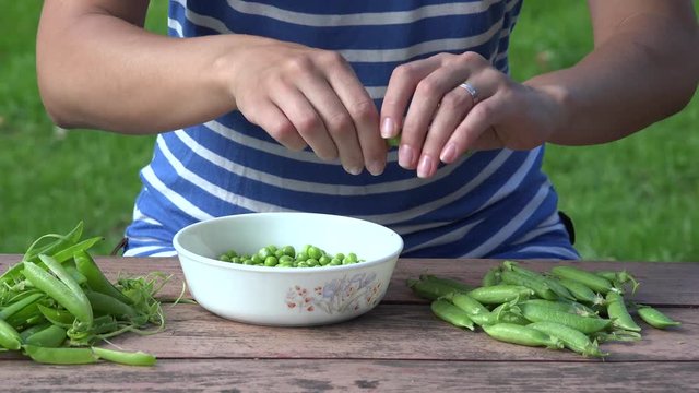 vegan woman hands pod shell husk pease on wooden table. 4K