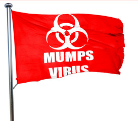 Mumps virus concept background, 3D rendering, a red waving flag