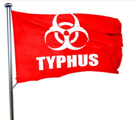Typhus concept background, 3D rendering, a red waving flag