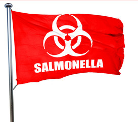 Salmonella concept background, 3D rendering, a red waving flag
