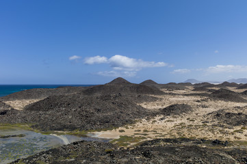 Salt meadows Canary Islands.