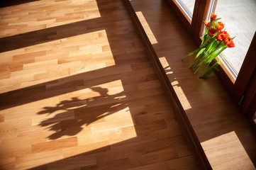 bouquet of red, beautiful tulips in the evening with sunbeams