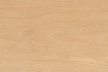 wood texture background. Blank for design
