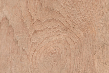 wood texture background. Blank for design