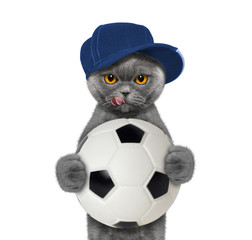 Cat in cap with a ball