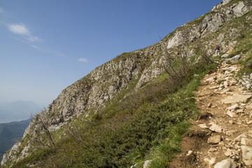 La Pinéa - Massif de la Chartreuse - Isère.