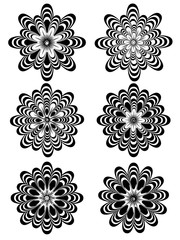 Simple Black and White Flowers