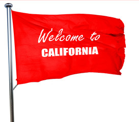 Welcome to california, 3D rendering, a red waving flag