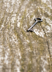 Old skeleton key