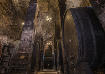Wine barrels (botti) in a Montepulciano cellar, Tuscany