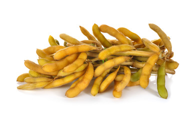 bunch of boiled soybean with shell and stem on white background