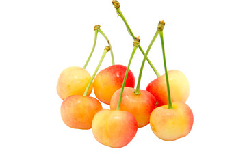 Cherry on a white background.