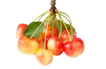 Cherry on a white background.