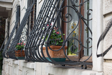 Finestre di un palazzo con grata in ferro battuto riccamente decorata e fioriere con fiori rossi   ...
